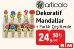 ARTİCOLO DEKORATİF MANDALLAR FARKLI ÇEŞİTLERDE